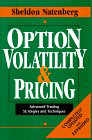option volatility pricing